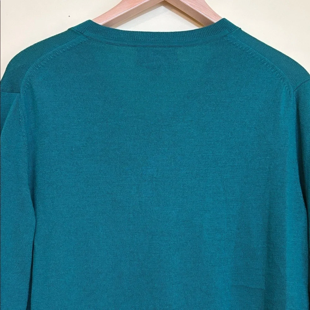 Banana Republic | Green Unisex Merino Wool V-Neck Knit Long Sleeve Sweater M